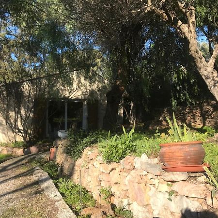 le paradis des oiseaux Toulon Extérieur photo