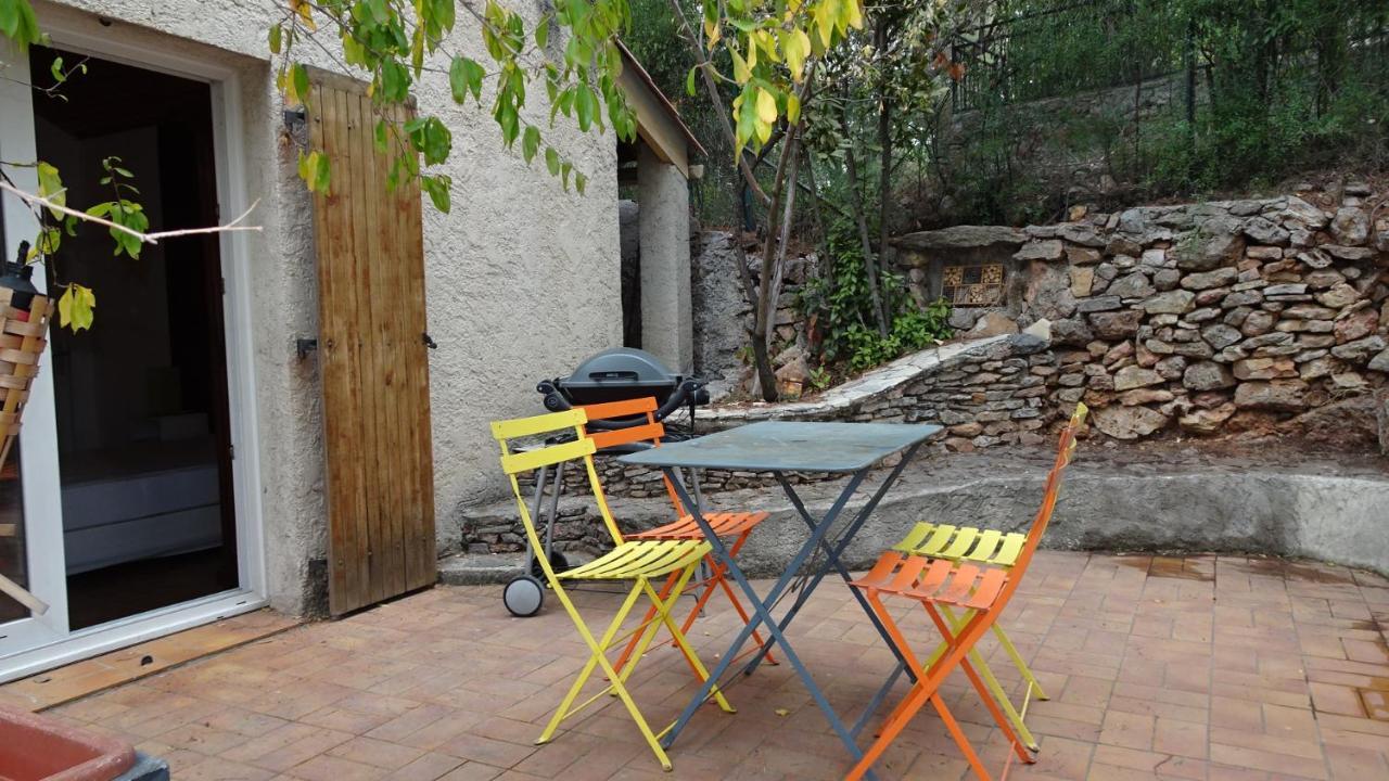 le paradis des oiseaux Toulon Extérieur photo